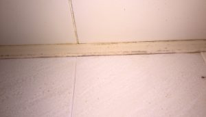 img_20160716_115923